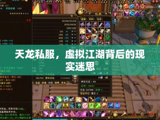 天龙私服，虚拟江湖背后的现实迷思