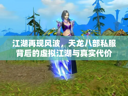 江湖再现风波，天龙八部私服背后的虚拟江湖与真实代价
