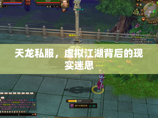天龙私服，虚拟江湖背后的现实迷思