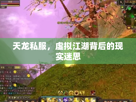 天龙私服，虚拟江湖背后的现实迷思