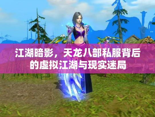 江湖暗影，天龙八部私服背后的虚拟江湖与现实迷局