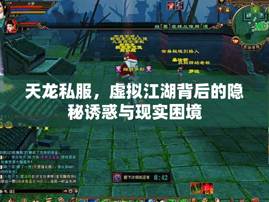 天龙私服，虚拟江湖背后的隐秘诱惑与现实困境