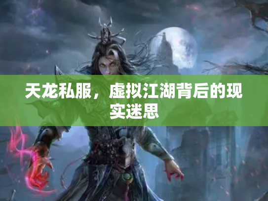 天龙私服，虚拟江湖背后的现实迷思