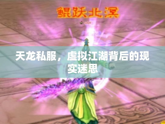 天龙私服，虚拟江湖背后的现实迷思