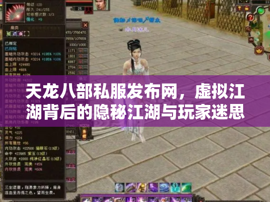 天龙八部私服发布网，虚拟江湖背后的隐秘江湖与玩家迷思