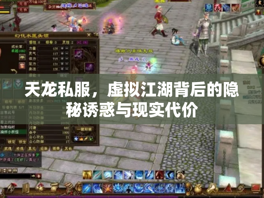 天龙私服，虚拟江湖背后的隐秘诱惑与现实代价