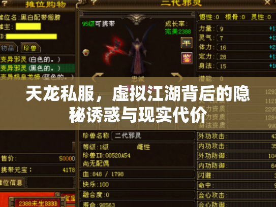 天龙私服，虚拟江湖背后的隐秘诱惑与现实代价