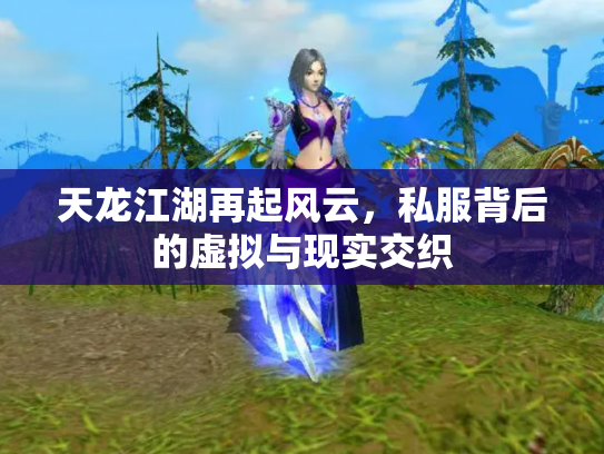 天龙江湖再起风云，私服背后的虚拟与现实交织