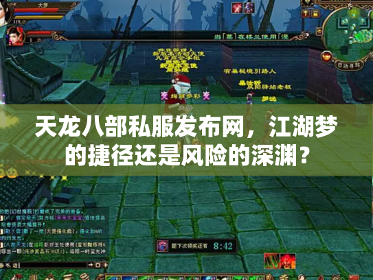 天龙八部私服发布网，江湖梦的捷径还是风险的深渊？