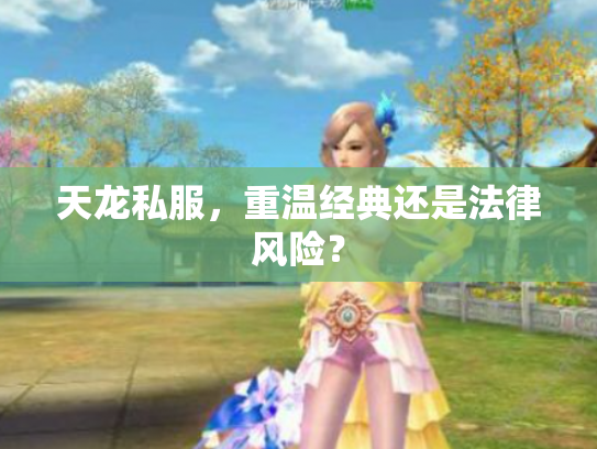 天龙私服，重温经典还是法律风险？