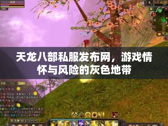 天龙八部私服发布网，游戏情怀与风险的灰色地带
