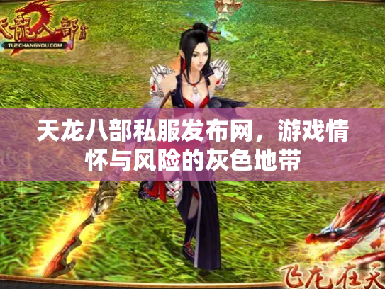 天龙八部私服发布网，游戏情怀与风险的灰色地带