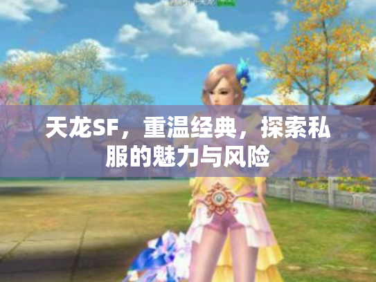 天龙SF，重温经典，探索私服的魅力与风险
