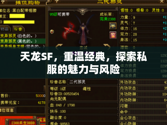 天龙SF，重温经典，探索私服的魅力与风险