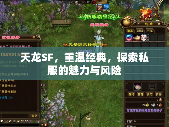 天龙SF，重温经典，探索私服的魅力与风险