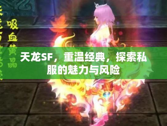 天龙SF，重温经典，探索私服的魅力与风险