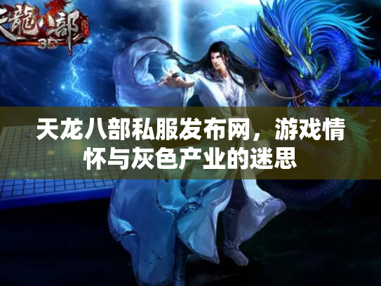天龙八部私服发布网，游戏情怀与灰色产业的迷思