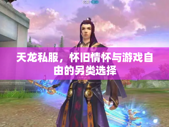 天龙私服，怀旧情怀与游戏自由的另类选择