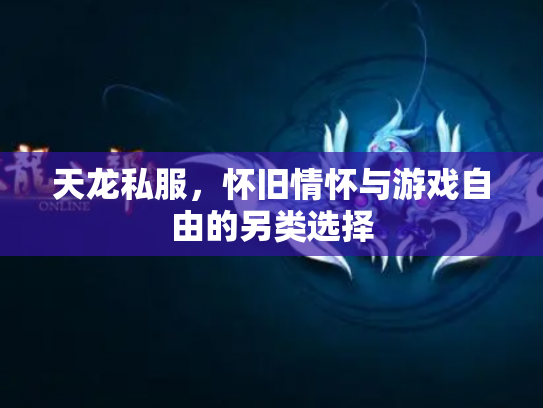 天龙私服，怀旧情怀与游戏自由的另类选择