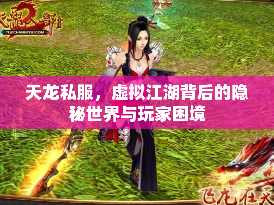 天龙私服，虚拟江湖背后的隐秘世界与玩家困境