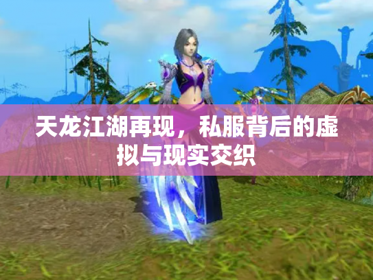 天龙江湖再现，私服背后的虚拟与现实交织