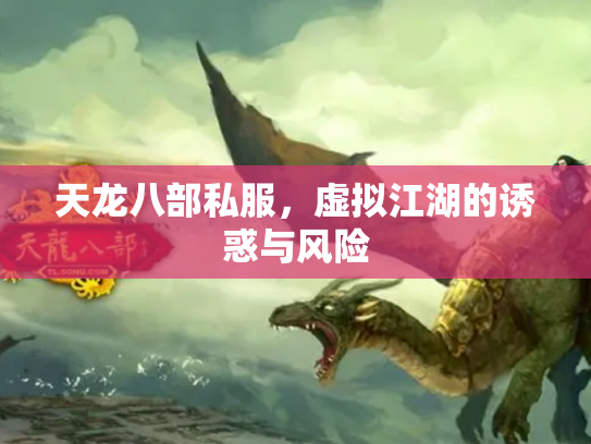 天龙八部私服，虚拟江湖的诱惑与风险