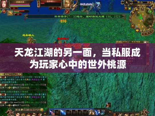 天龙江湖的另一面，当私服成为玩家心中的世外桃源