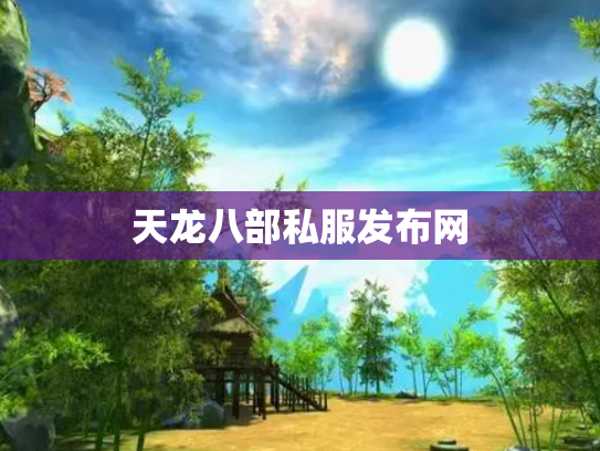 天龙八部私服发布网