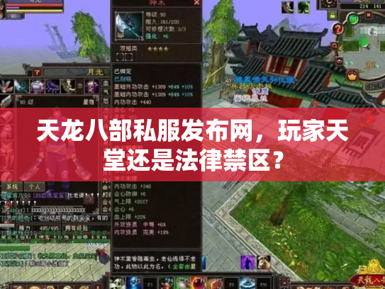 天龙八部私服发布网，玩家天堂还是法律禁区？