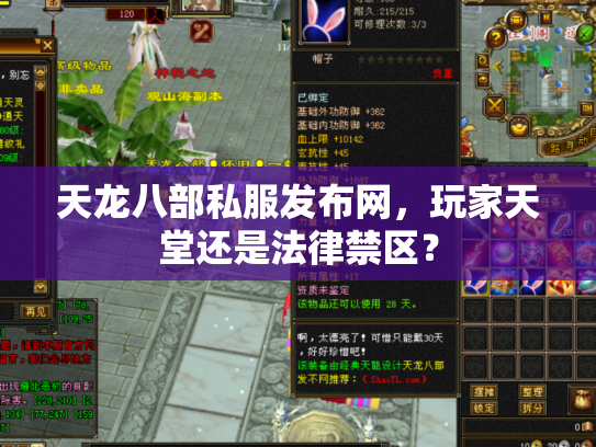天龙八部私服发布网，玩家天堂还是法律禁区？