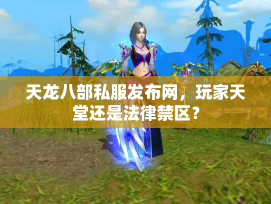 天龙八部私服发布网，玩家天堂还是法律禁区？