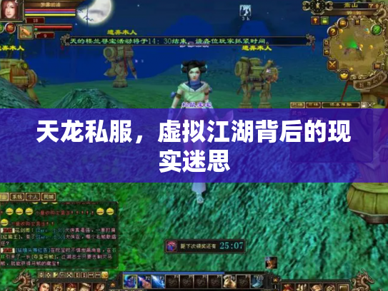天龙私服，虚拟江湖背后的现实迷思