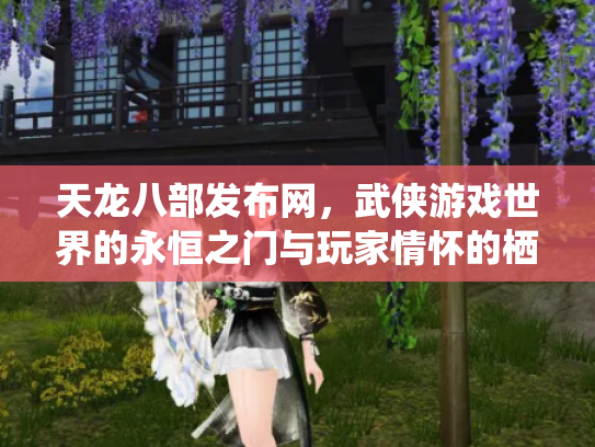 天龙八部发布网，武侠游戏世界的永恒之门与玩家情怀的栖息地