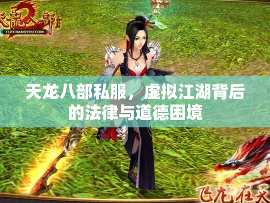 天龙八部私服，虚拟江湖背后的法律与道德困境