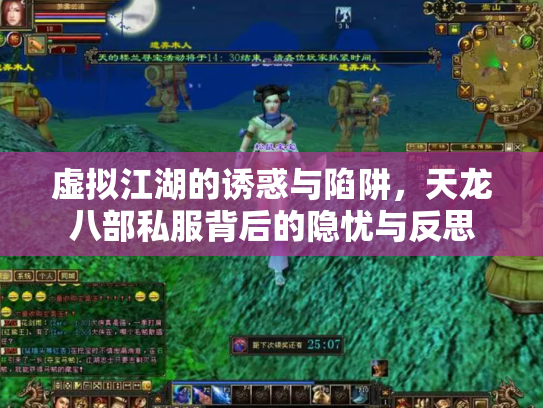 虚拟江湖的诱惑与陷阱，天龙八部私服背后的隐忧与反思