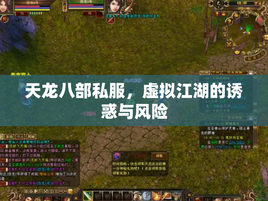 天龙八部私服，虚拟江湖的诱惑与风险