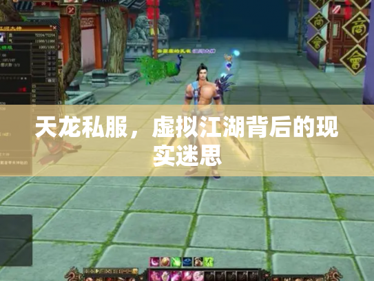 天龙私服，虚拟江湖背后的现实迷思