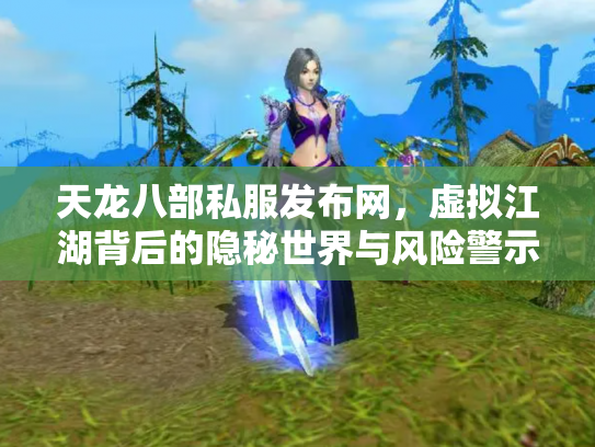 天龙八部私服发布网，虚拟江湖背后的隐秘世界与风险警示