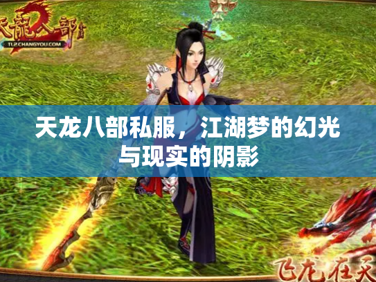 天龙八部私服，江湖梦的幻光与现实的阴影