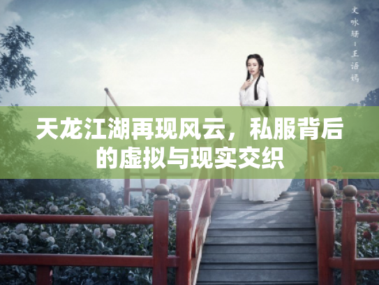 天龙江湖再现风云，私服背后的虚拟与现实交织