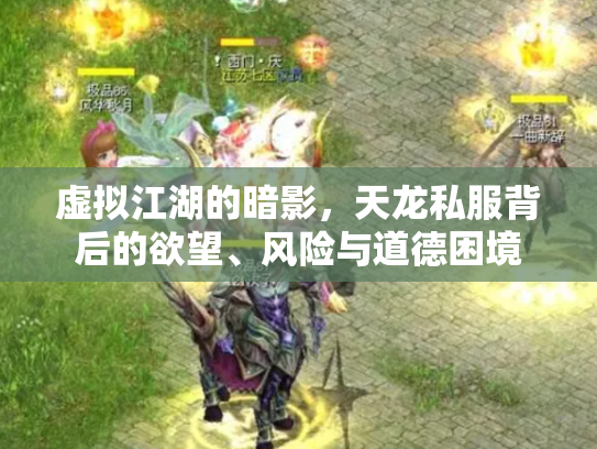 虚拟江湖的暗影，天龙私服背后的欲望、风险与道德困境