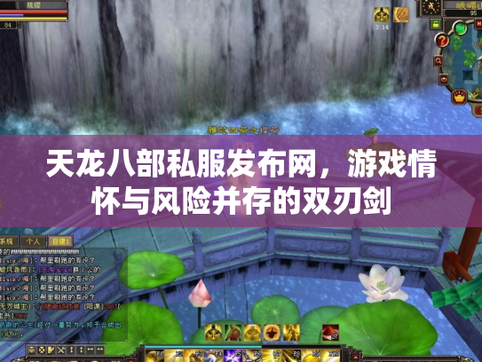 天龙八部私服发布网，游戏情怀与风险并存的双刃剑