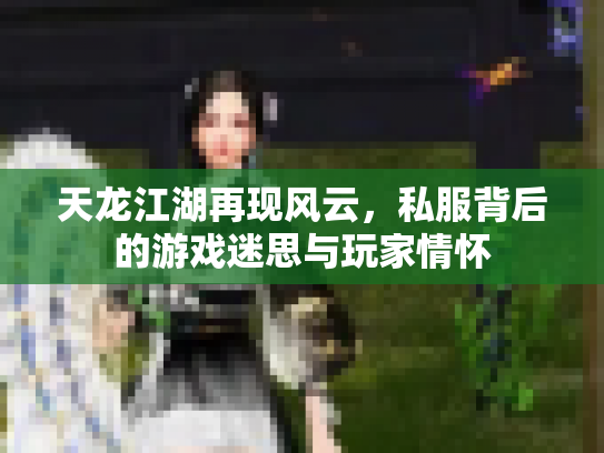 天龙江湖再现风云，私服背后的游戏迷思与玩家情怀