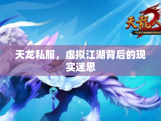 天龙私服，虚拟江湖背后的现实迷思