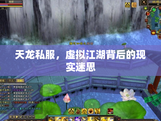 天龙私服，虚拟江湖背后的现实迷思