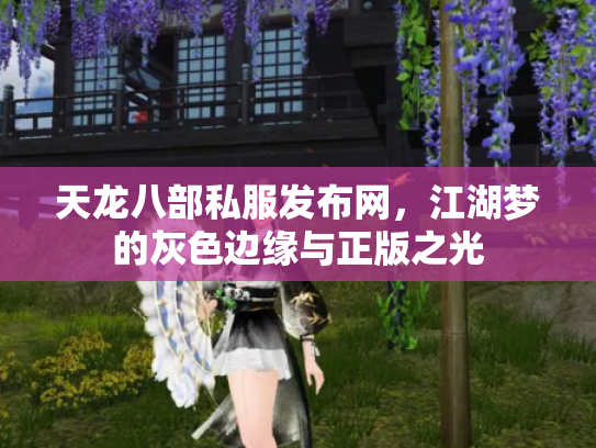 天龙八部私服发布网，江湖梦的灰色边缘与正版之光