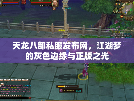 天龙八部私服发布网，江湖梦的灰色边缘与正版之光