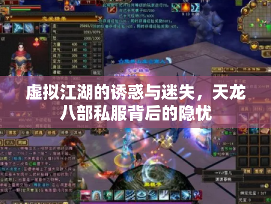 虚拟江湖的诱惑与迷失，天龙八部私服背后的隐忧