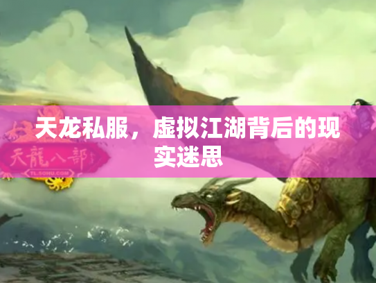 天龙私服，虚拟江湖背后的现实迷思
