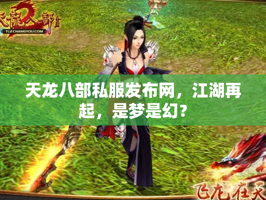天龙八部私服发布网，江湖再起，是梦是幻？
